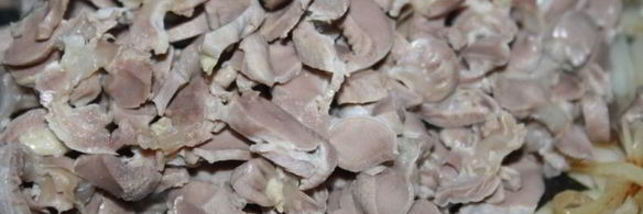 закуска из куриных желудков