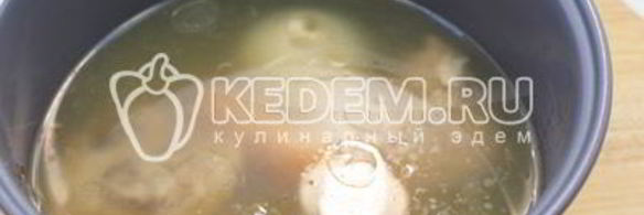 заливное из курицы новогоднее