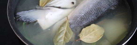 заливное из семги