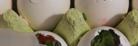 заливные яйца