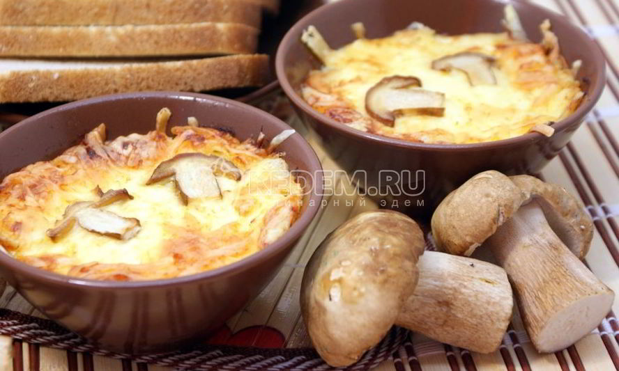Рецепт жульена из белых грибов